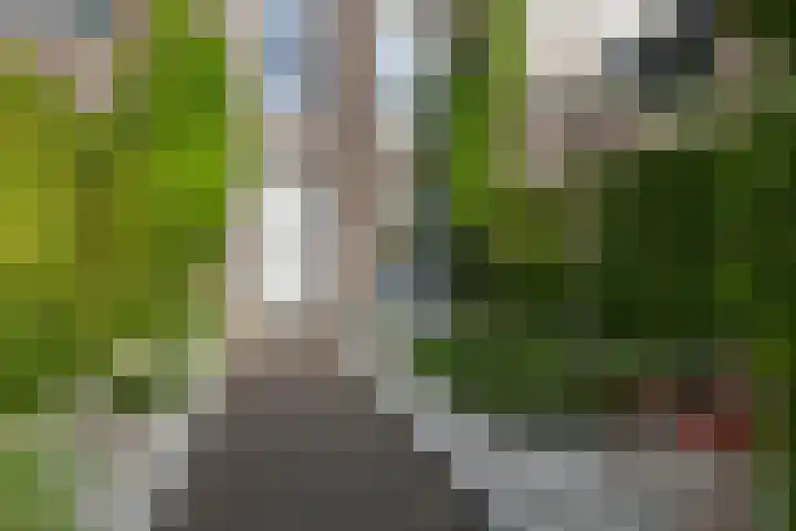 Velderwoude 25 's-Hertogenbosch thumbnail 4