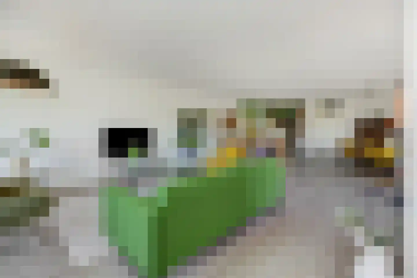 Velderwoude 32 's-Hertogenbosch thumbnail 17
