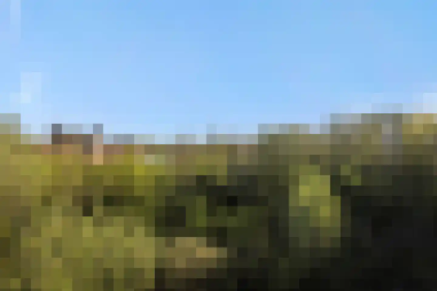 Velderwoude 32 's-Hertogenbosch thumbnail 9