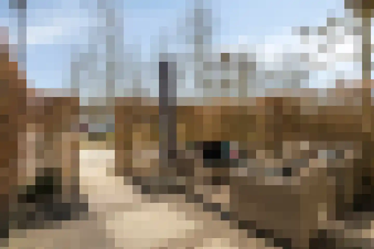 Velderwoude 35 's-Hertogenbosch thumbnail 4