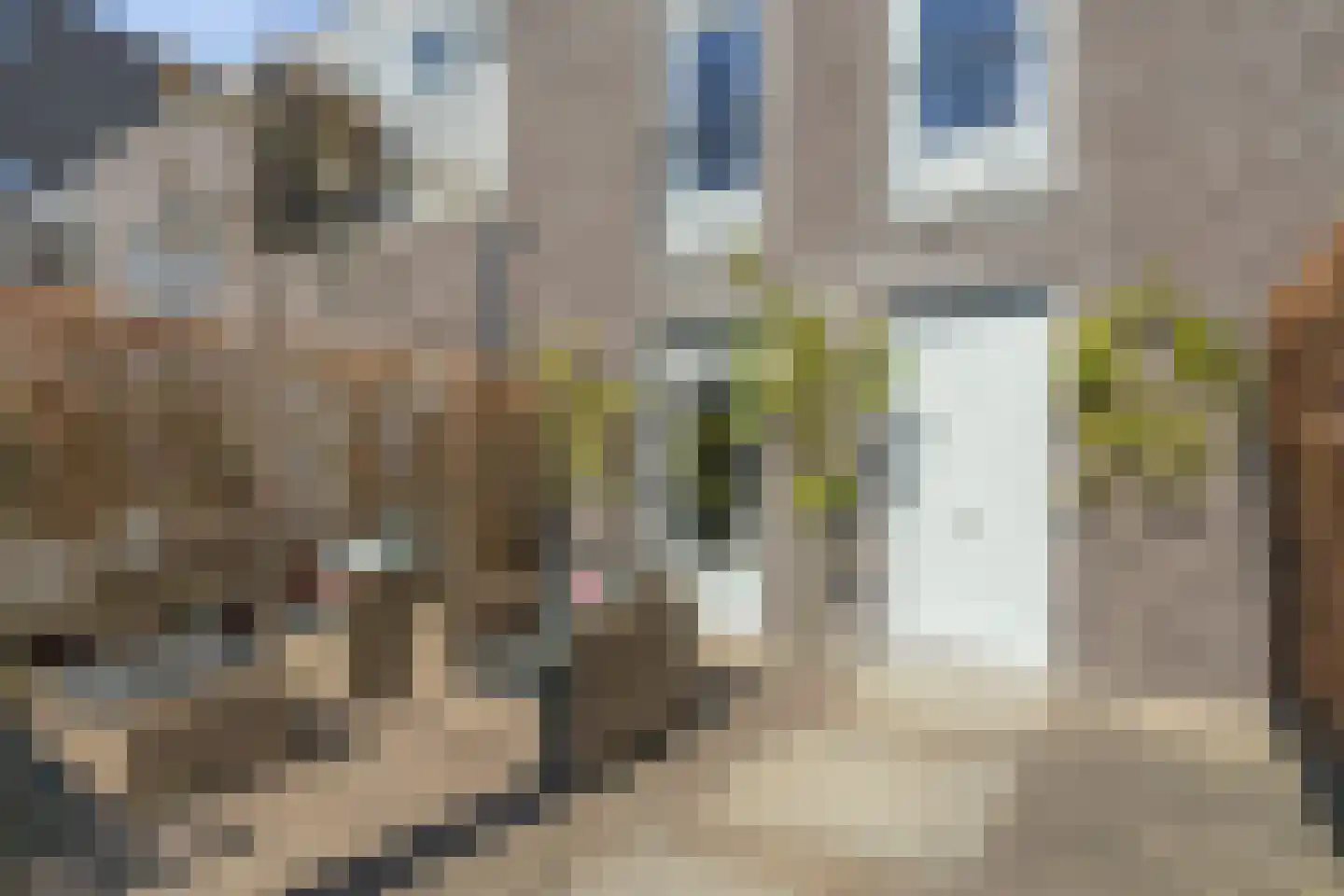 Velderwoude 35 's-Hertogenbosch thumbnail 5