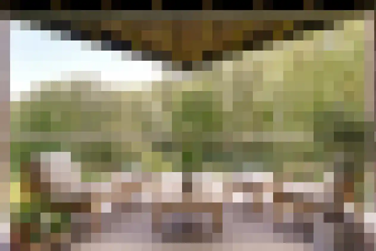 Velderwoude 49 's-Hertogenbosch thumbnail 10