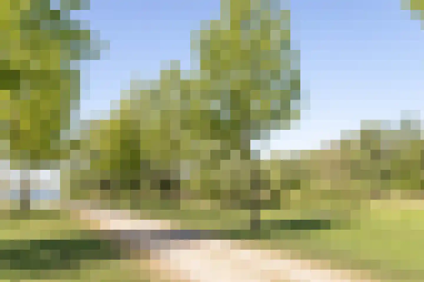 Velderwoude 49 's-Hertogenbosch thumbnail 13