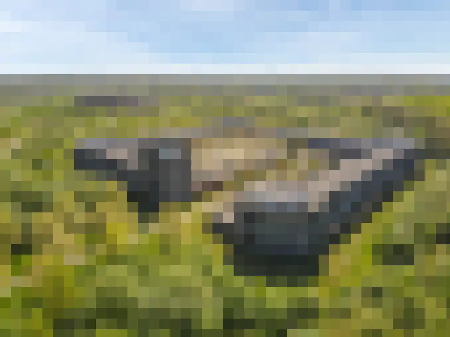 Velderwoude 49 's-Hertogenbosch thumbnail 17