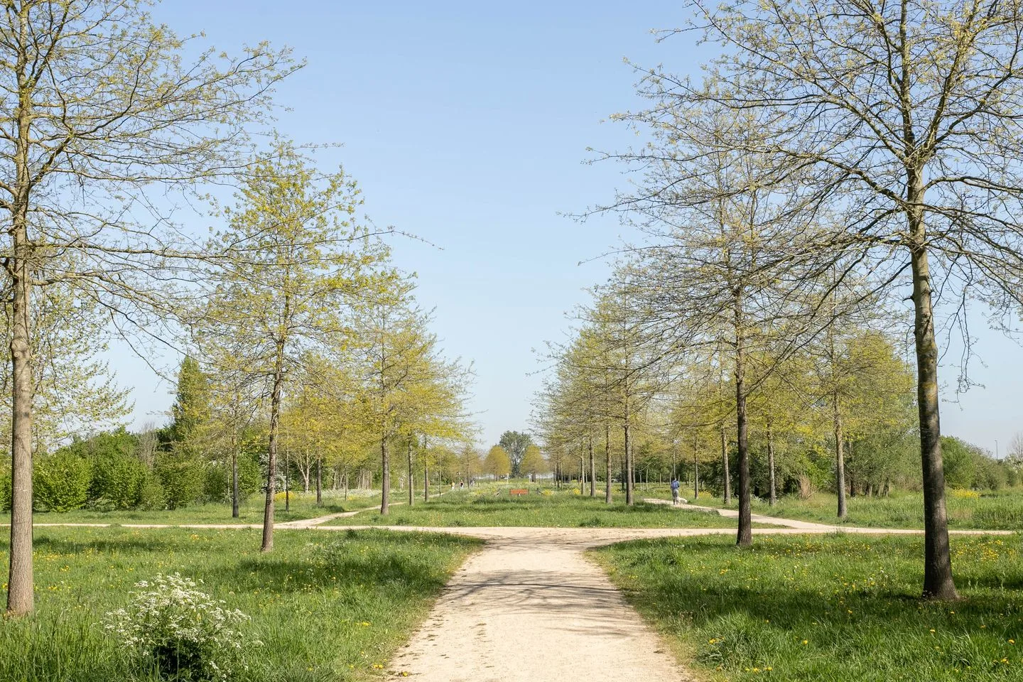 Velderwoude 54 's-Hertogenbosch thumbnail 22