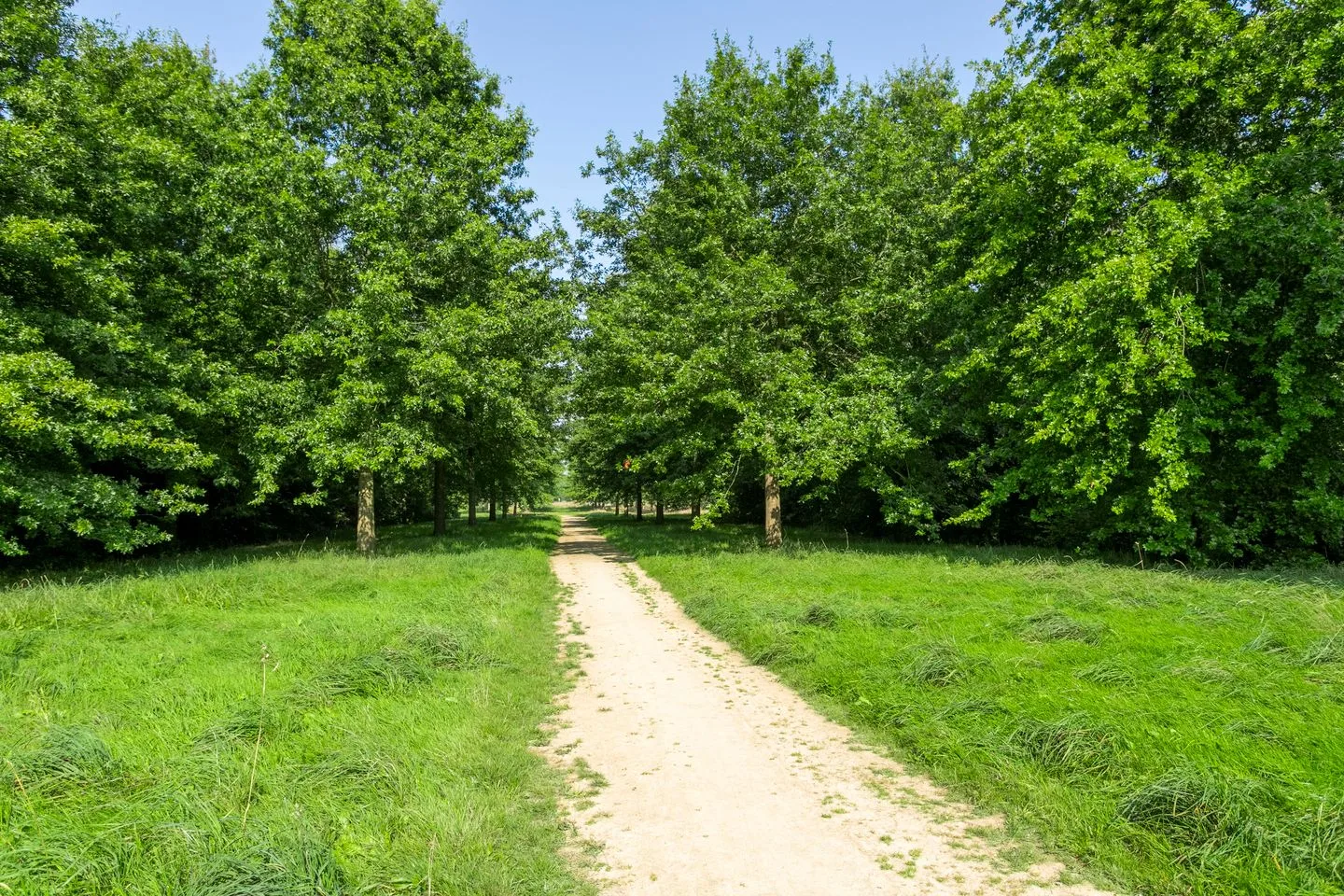 Velderwoude 56 's-Hertogenbosch thumbnail 29