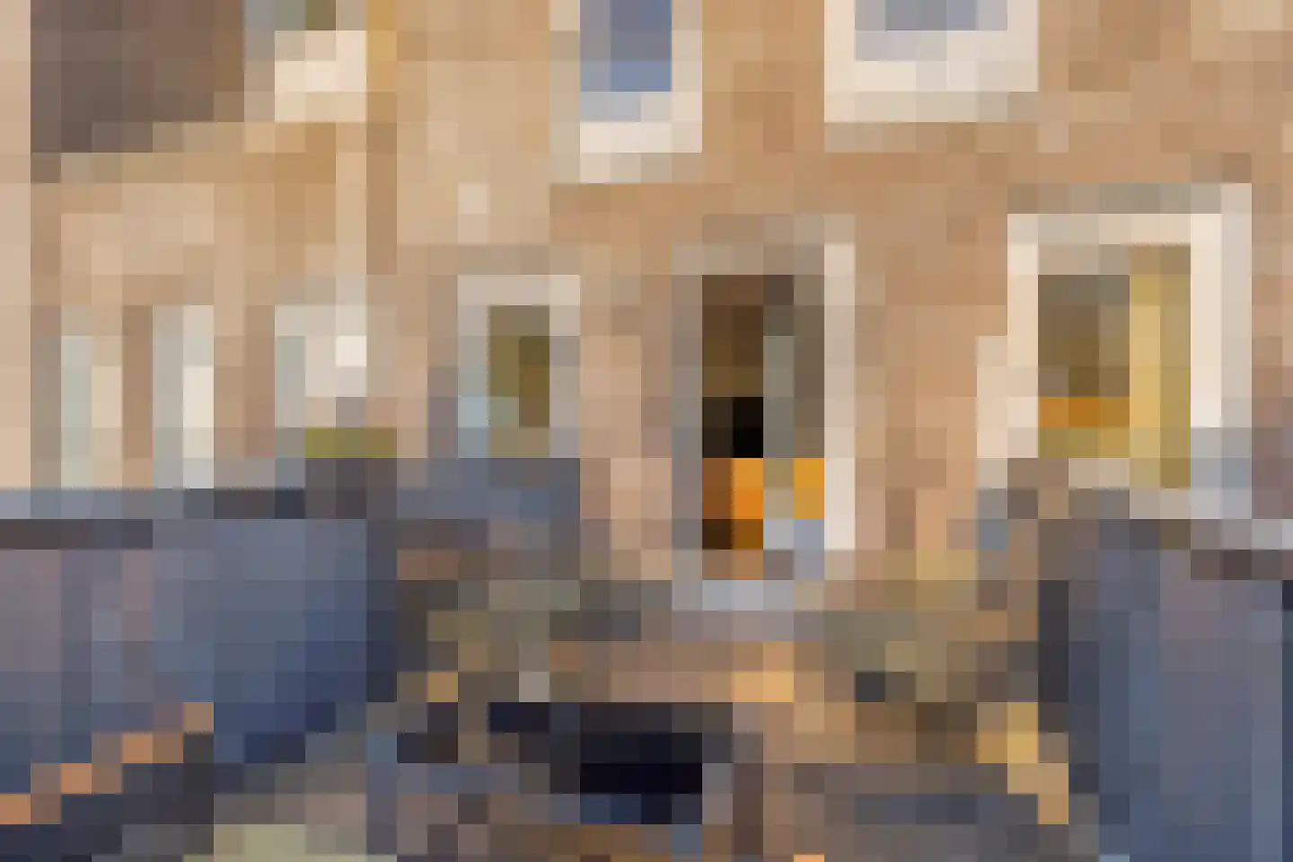 Velderwoude 79 's-Hertogenbosch thumbnail 10