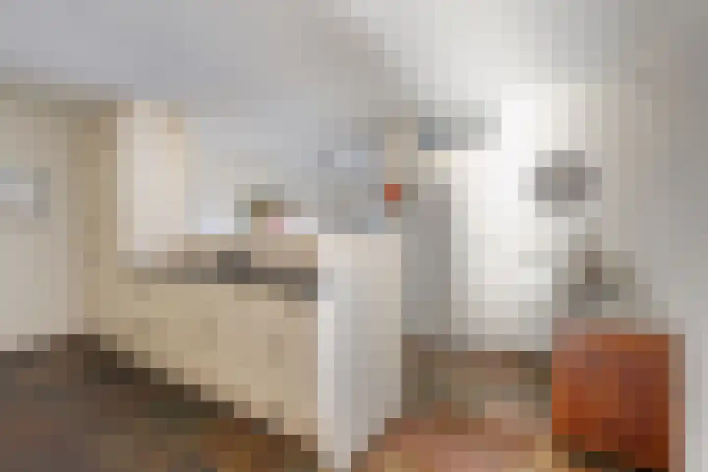 Velderwoude 79 's-Hertogenbosch thumbnail 14