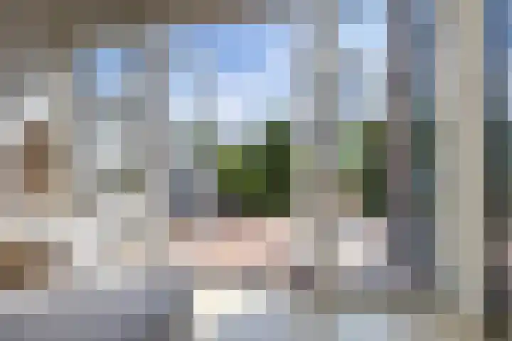 Veldesdoorn 11 Heiloo thumbnail 24