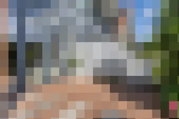 Veldesdoorn 11 Heiloo thumbnail 26