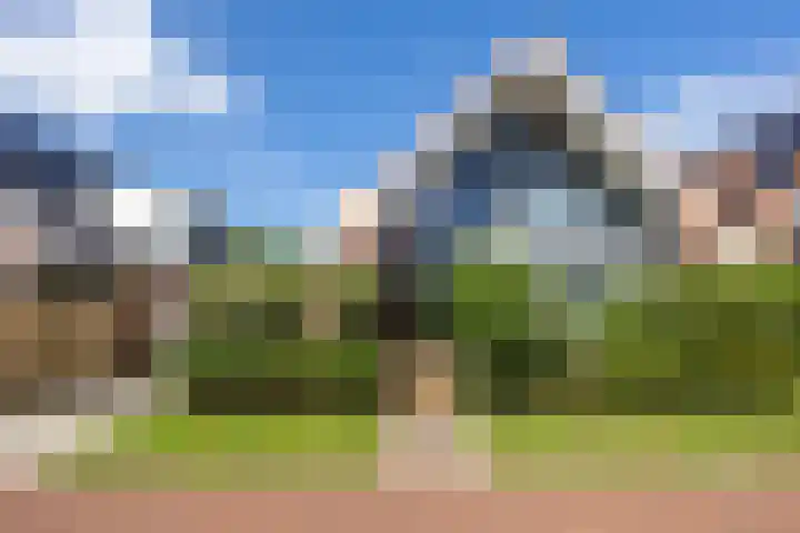 Veldesdoorn 11 Heiloo thumbnail 32