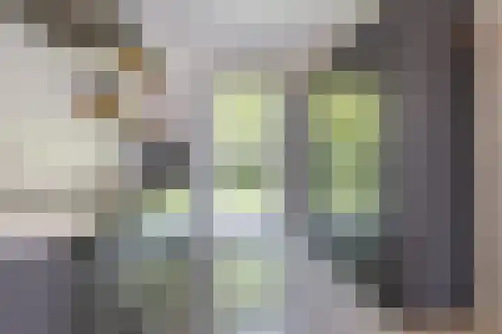 Veldesdoorn 11 Heiloo thumbnail 7
