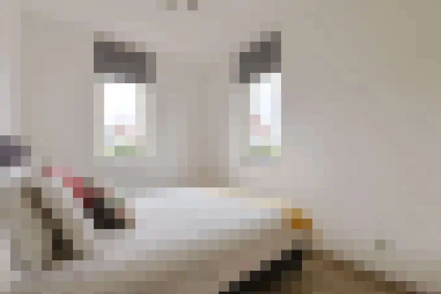 Veldesdoorn 23 Nieuwveen thumbnail 11