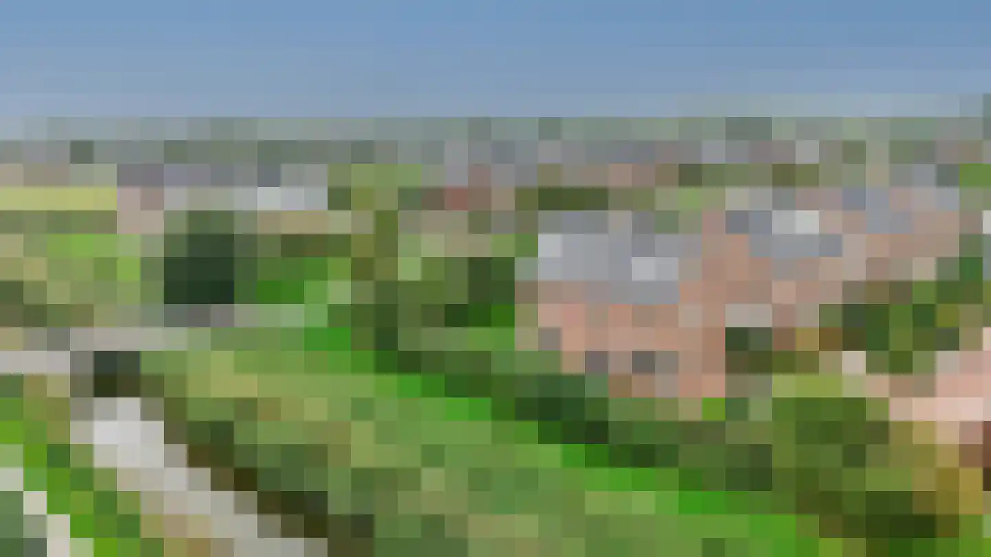 Veldesdoorn 23 Nieuwveen thumbnail 15