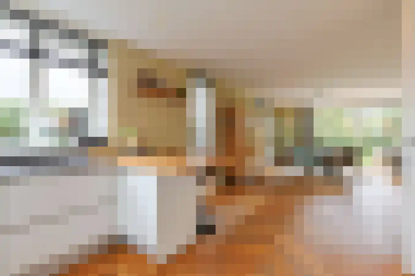 Veldesdoorn 23 Nieuwveen thumbnail 20