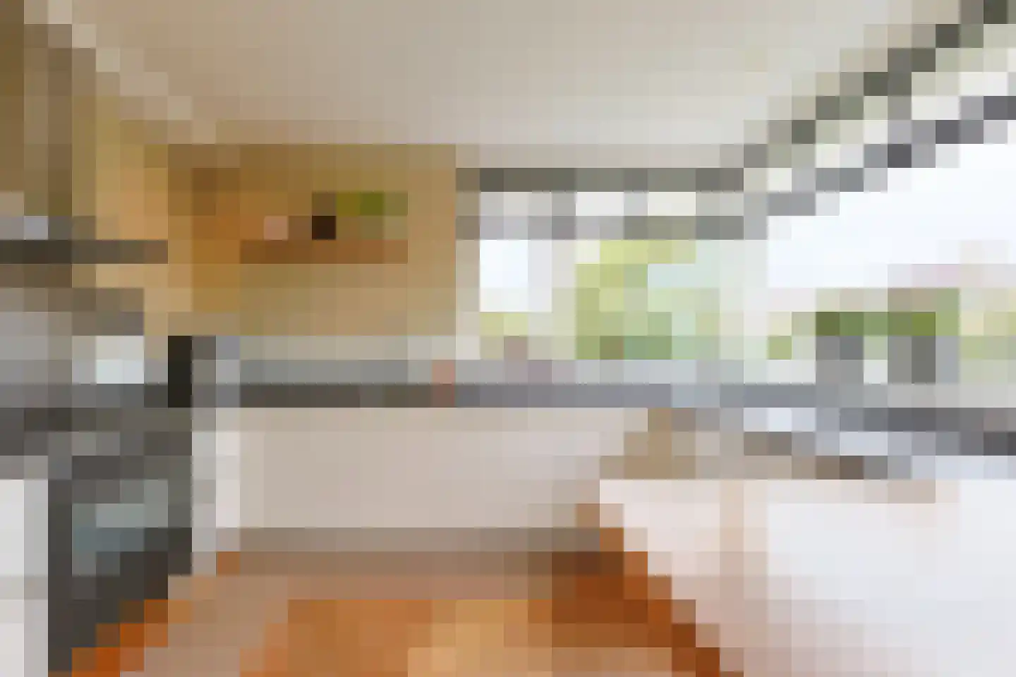 Veldesdoorn 23 Nieuwveen thumbnail 22