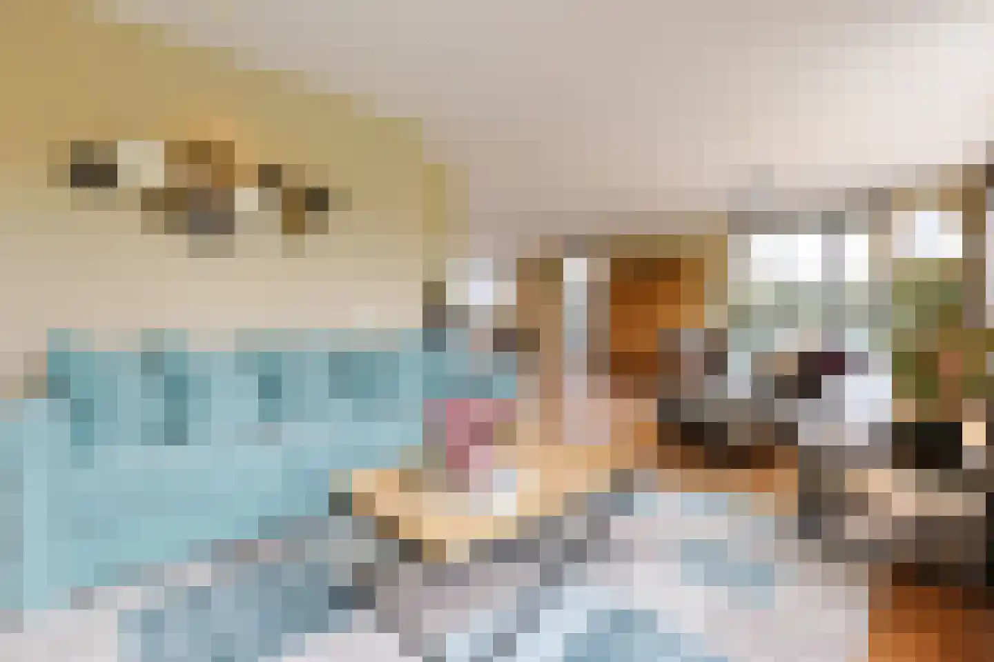 Veldesdoorn 23 Nieuwveen thumbnail 29