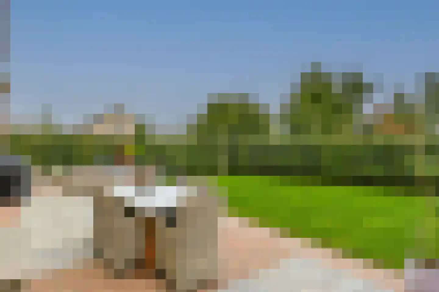 Veldesdoorn 23 Nieuwveen thumbnail 34