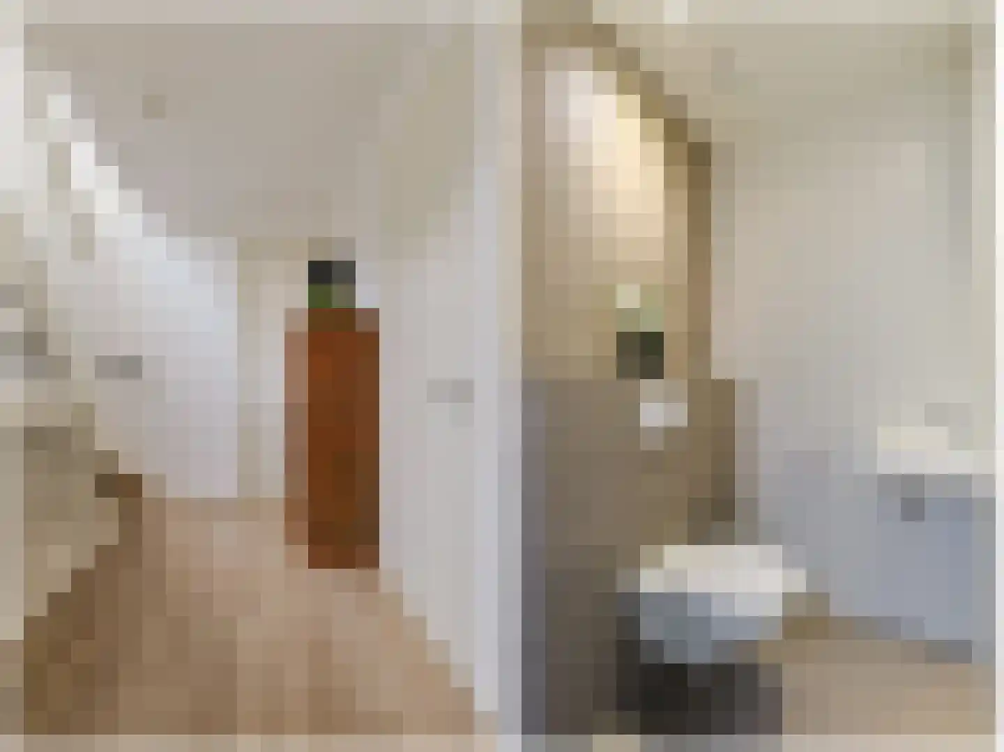 Veldesdoorn 23 Nieuwveen thumbnail 38