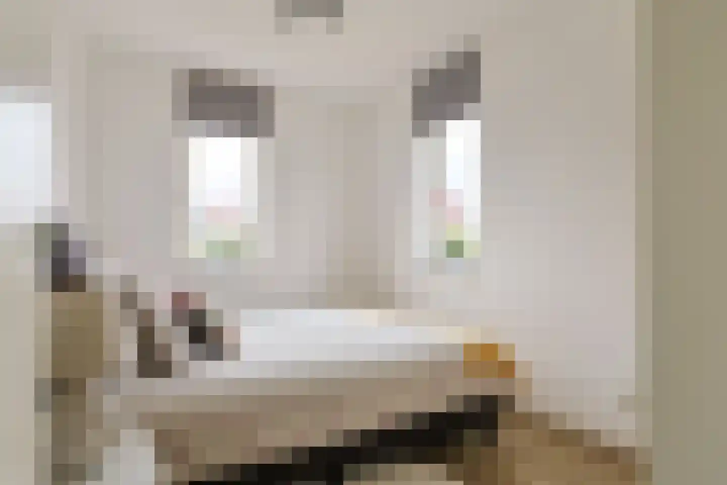 Veldesdoorn 23 Nieuwveen thumbnail 44