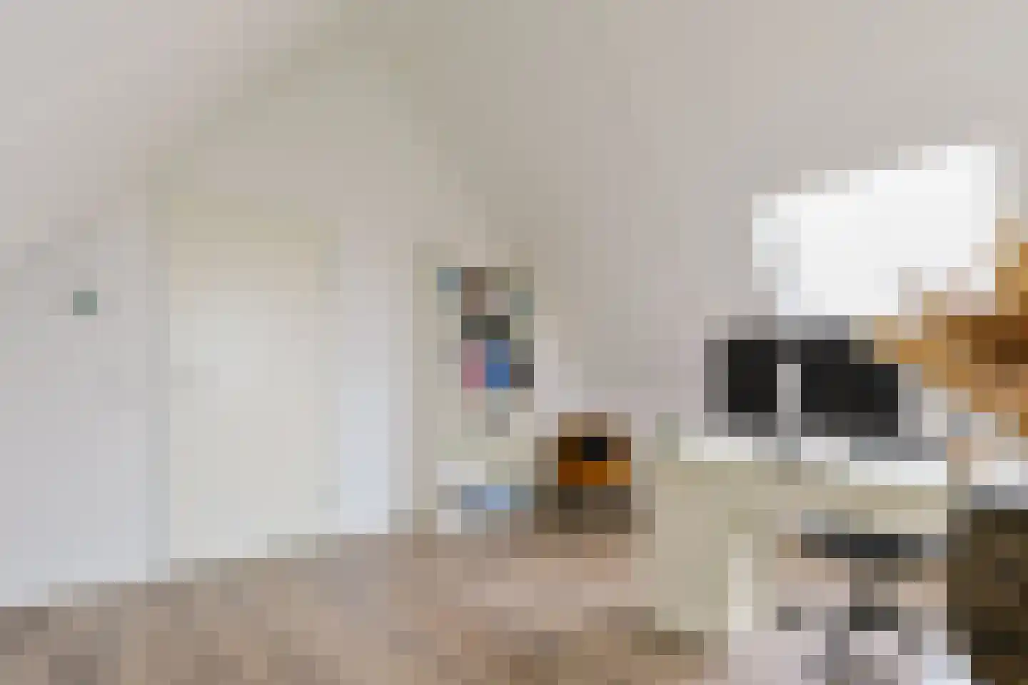Veldesdoorn 23 Nieuwveen thumbnail 54