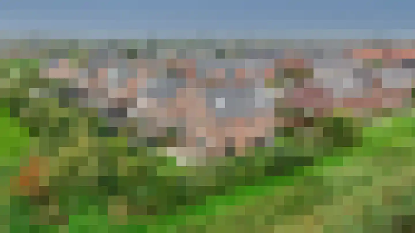 Veldesdoorn 23 Nieuwveen thumbnail 56
