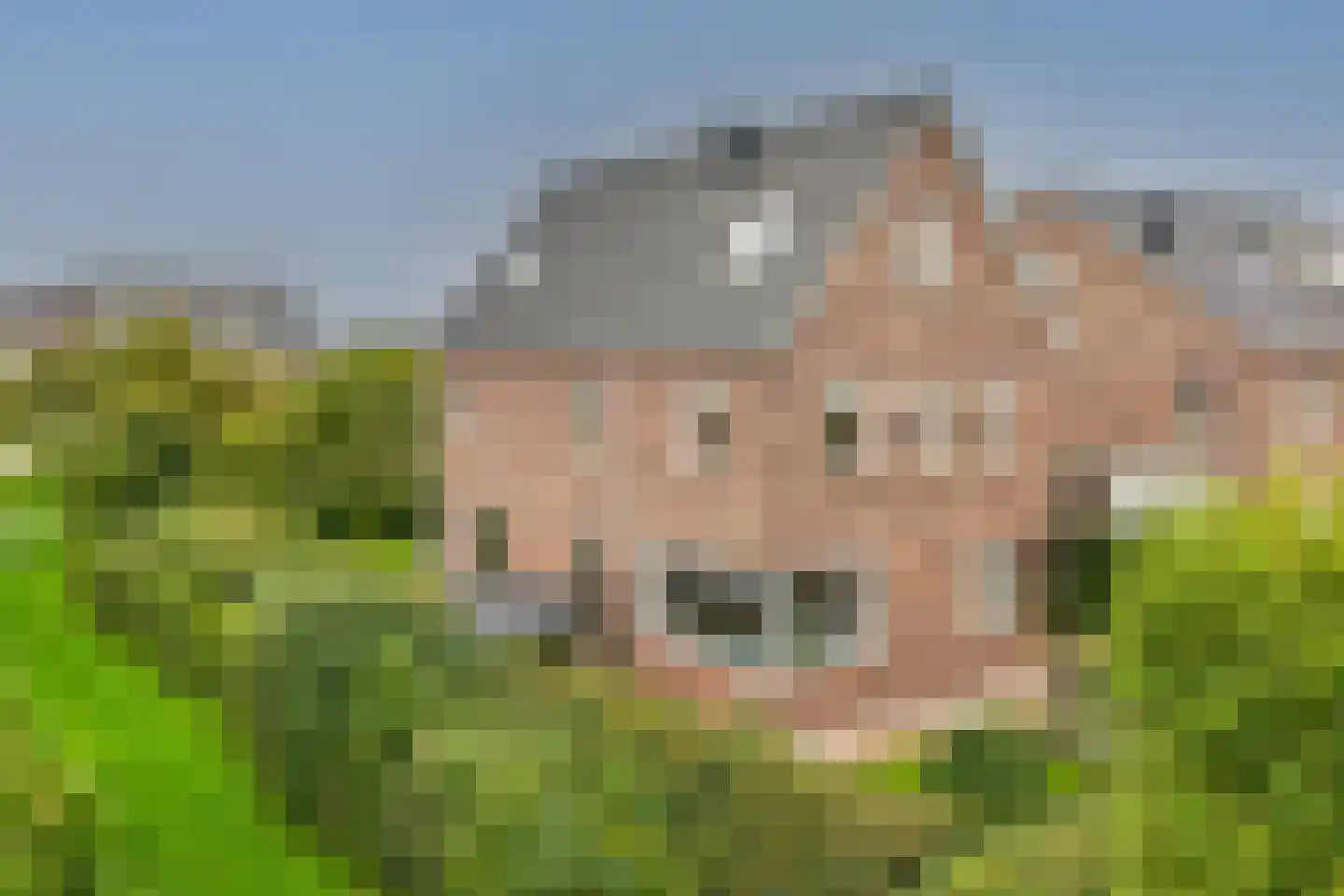 Veldesdoorn 23 Nieuwveen thumbnail 58