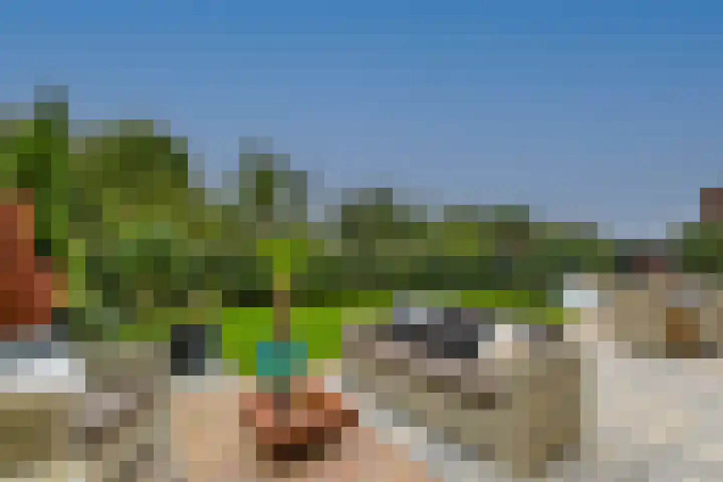Veldesdoorn 23 Nieuwveen thumbnail 7