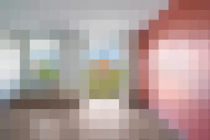 Veldesteijn 24 Maasland thumbnail 13