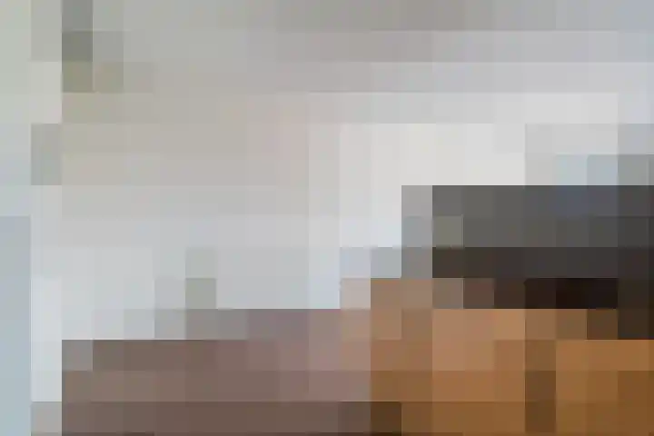 Veldesteijn 24 Maasland thumbnail 16
