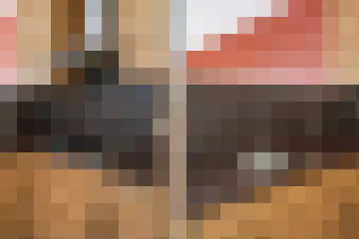 Veldesteijn 24 Maasland thumbnail 17