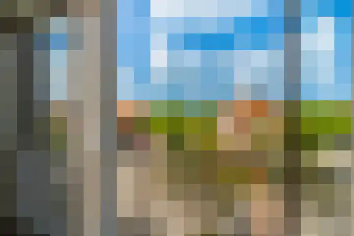 Veldesteijn 24 Maasland thumbnail 20