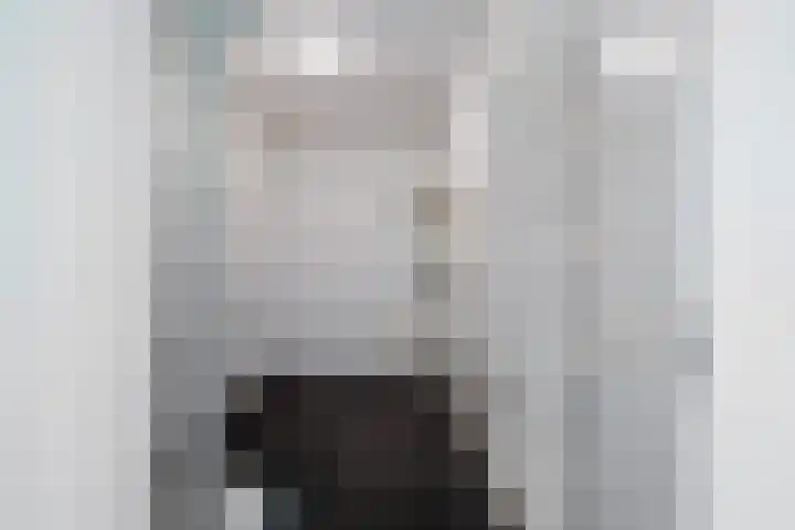 Veldesteijn 24 Maasland thumbnail 25