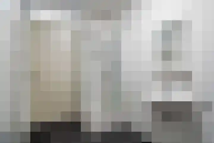 Veldesteijn 24 Maasland thumbnail 27