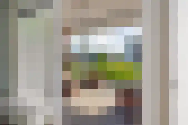 Veldesteijn 24 Maasland thumbnail 28