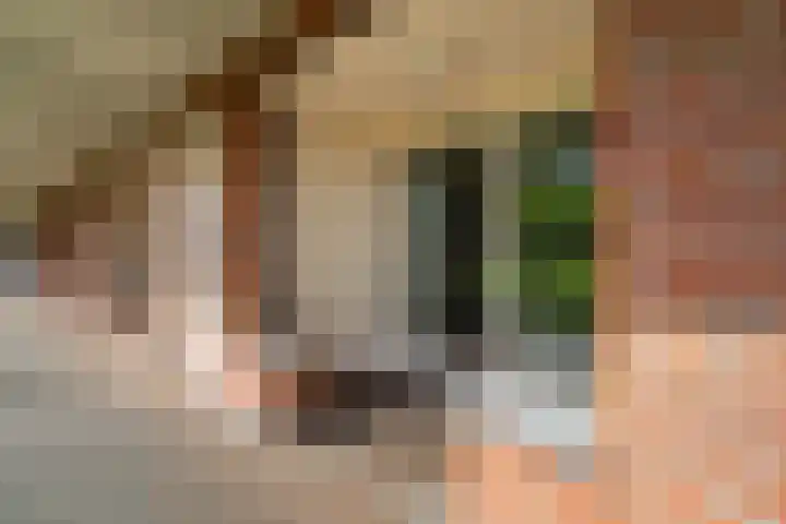 Veldesteijn 24 Maasland thumbnail 29