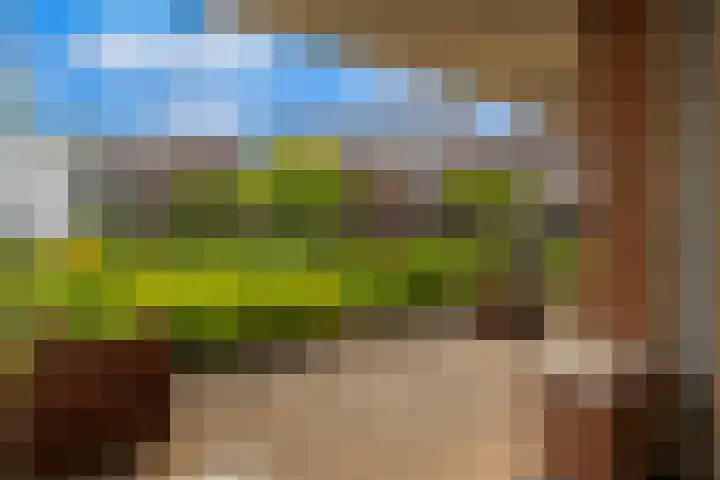Veldesteijn 24 Maasland thumbnail 31
