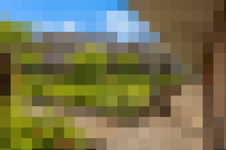 Veldesteijn 24 Maasland thumbnail 32