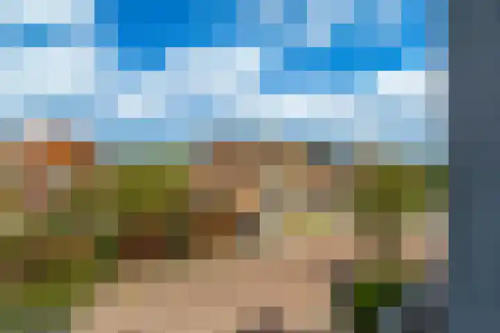 Veldesteijn 24 Maasland thumbnail 33