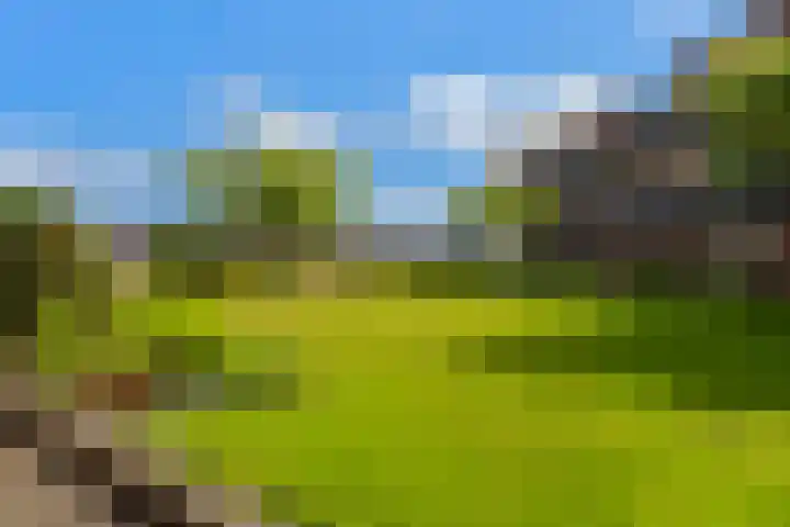 Veldesteijn 24 Maasland thumbnail 35