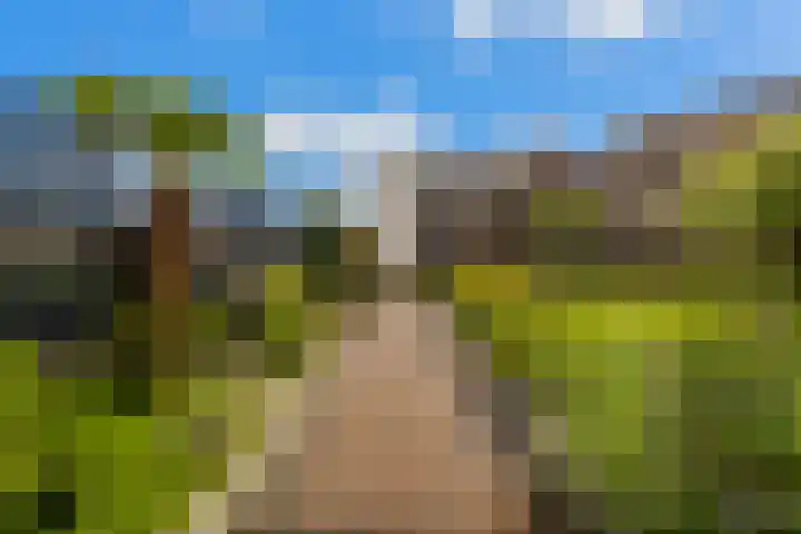 Veldesteijn 24 Maasland thumbnail 36