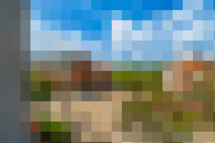 Veldesteijn 24 Maasland thumbnail 6