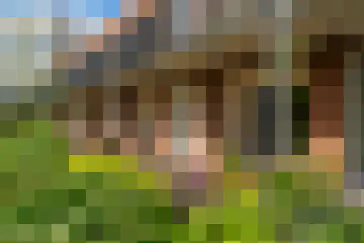 Veldesteijn 24 Maasland thumbnail 7