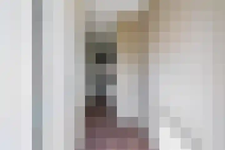 Veldesteijn 24 Maasland thumbnail 9