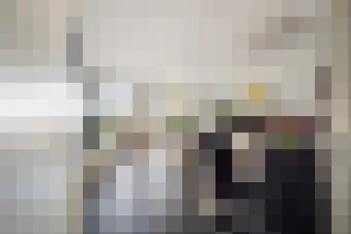 Veldesteijn 48 Maasland thumbnail 12
