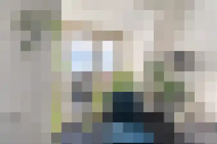Veldesteijn 48 Maasland thumbnail 14