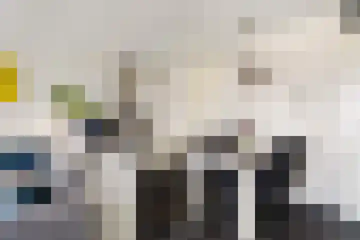 Veldesteijn 48 Maasland thumbnail 17