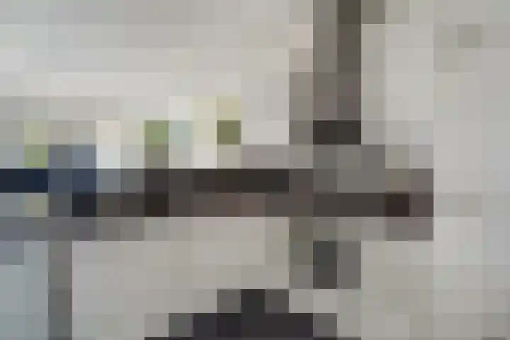 Veldesteijn 48 Maasland thumbnail 19