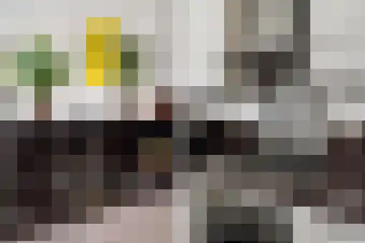 Veldesteijn 48 Maasland thumbnail 20