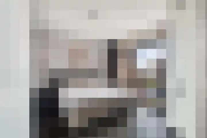 Veldesteijn 48 Maasland thumbnail 23